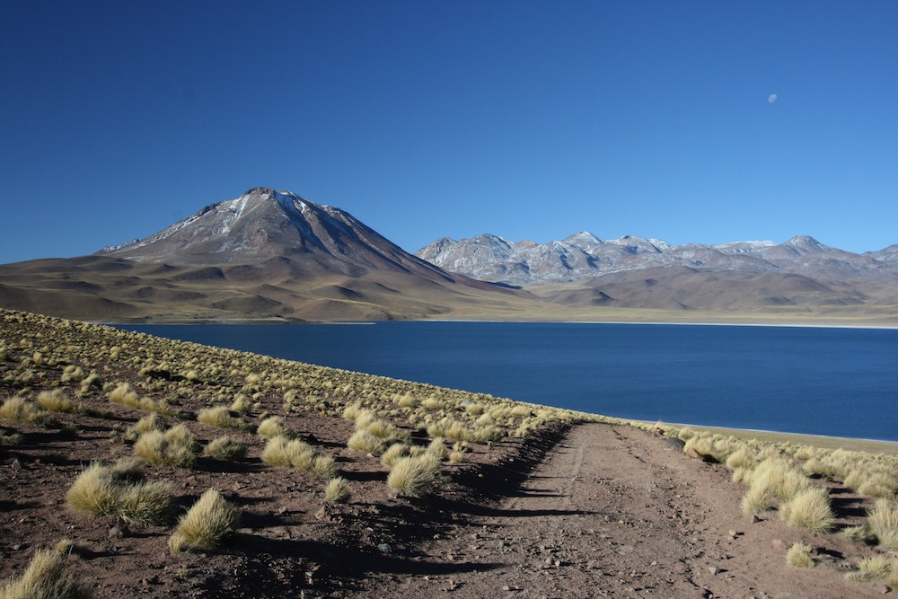 Laguna Miscanti